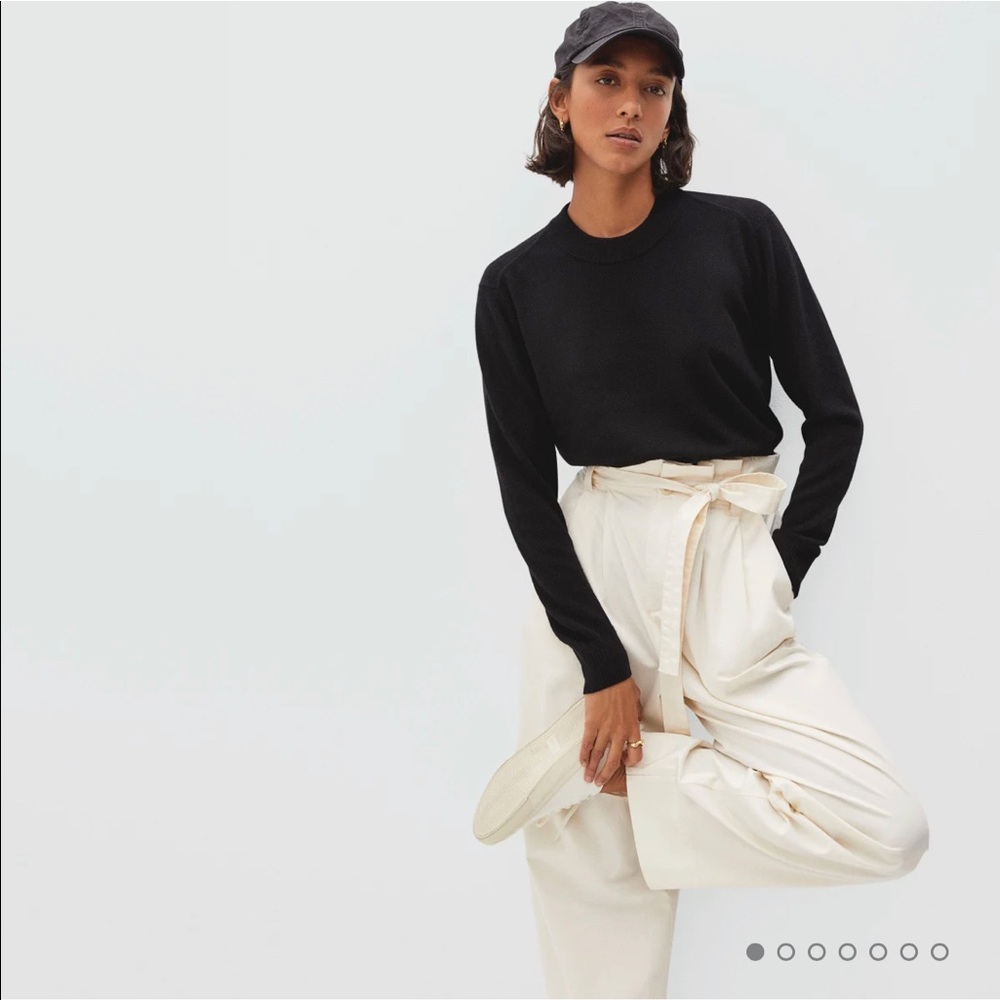 Everlane 100% cashmere crew sweater